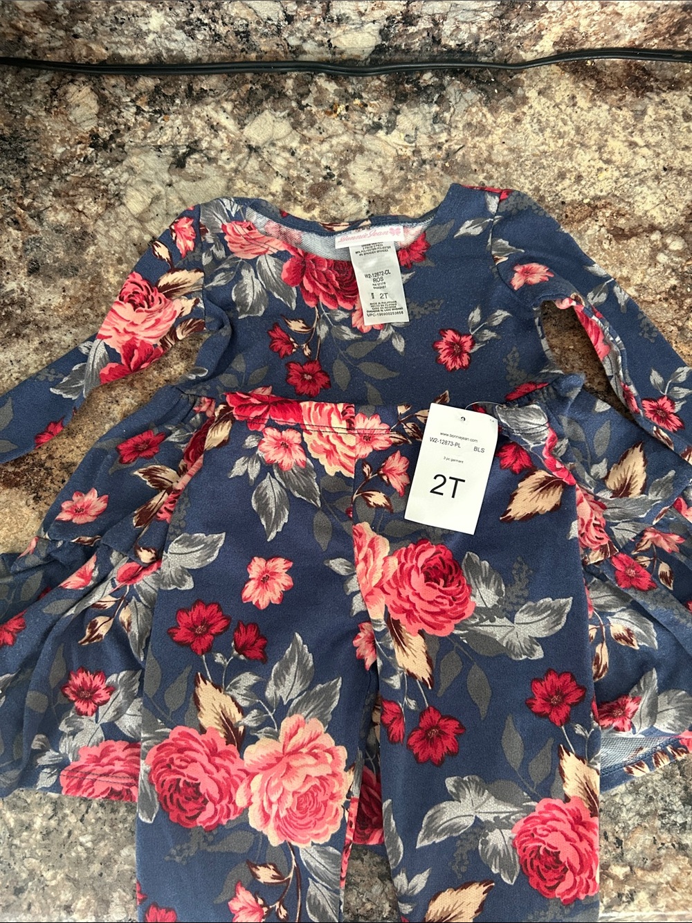 Bonnie Jean Navy Floral Long Sleeve Toddler Dress - Pink & Coral Flowers